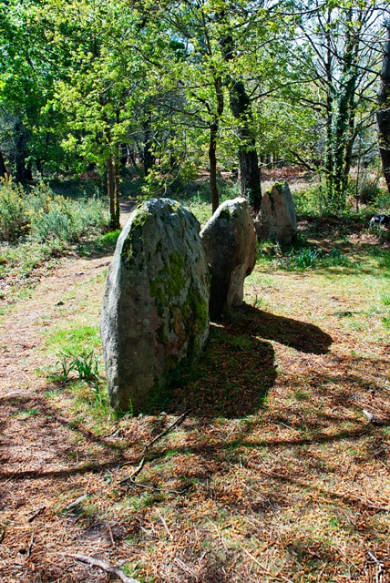 Click for the gallery page to add comments and vote (PID:103359) Mané Braz menhir