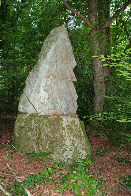 Click for the gallery page to add comments and vote (PID:91348) Menhir de la Grée Trévelot