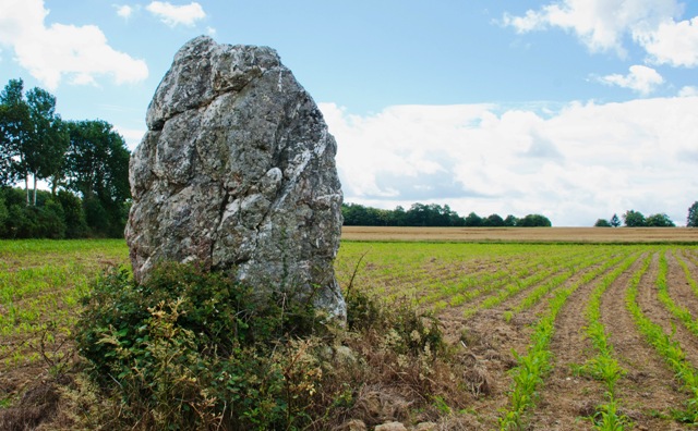 Piprais menhir