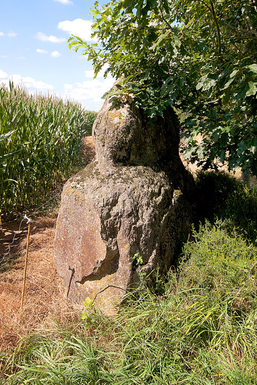 Petit-Resto menhir