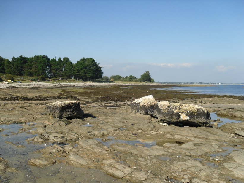 Menhirs les Trois Pierres Blanches