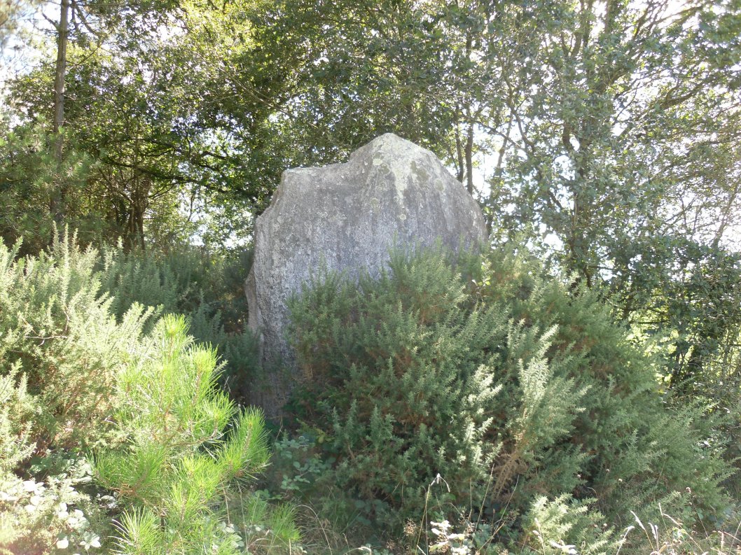 Menhir de Bignon 2