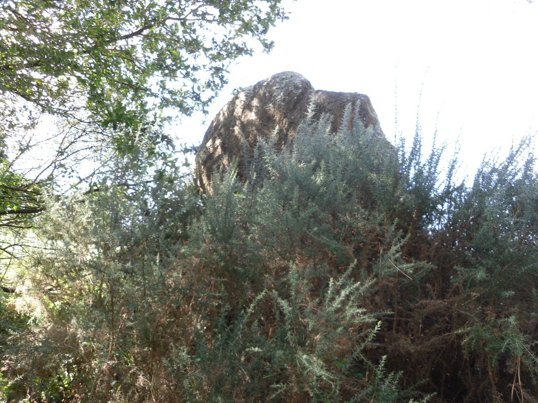 Menhir de Bignon 2