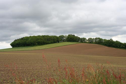 Click for the gallery page to add comments and vote (PID:32882) Kerhoret menhirs