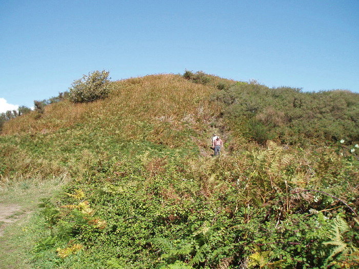 Tumiac tumulus