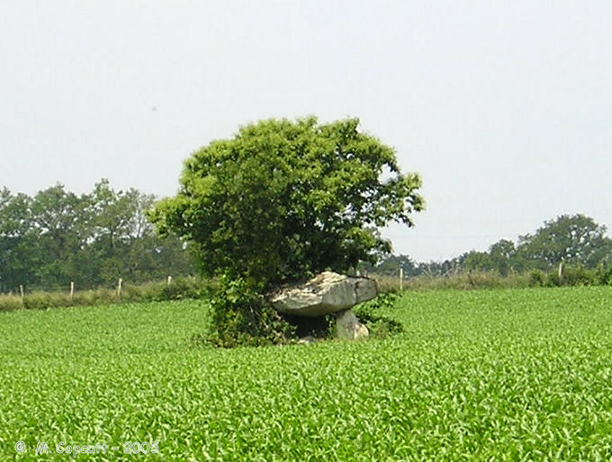 Kervengu dolmen