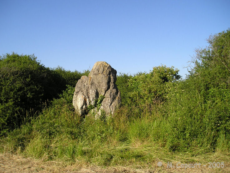 Click for the gallery page to add comments and vote (PID:39168) Kerpenhir menhir