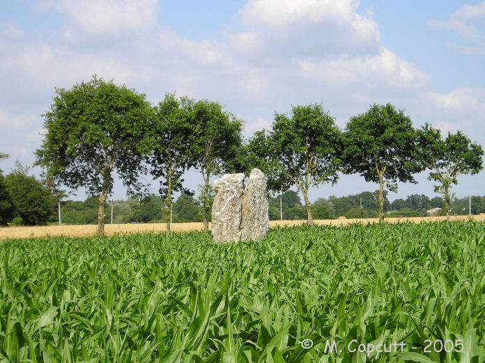 Piprais menhir