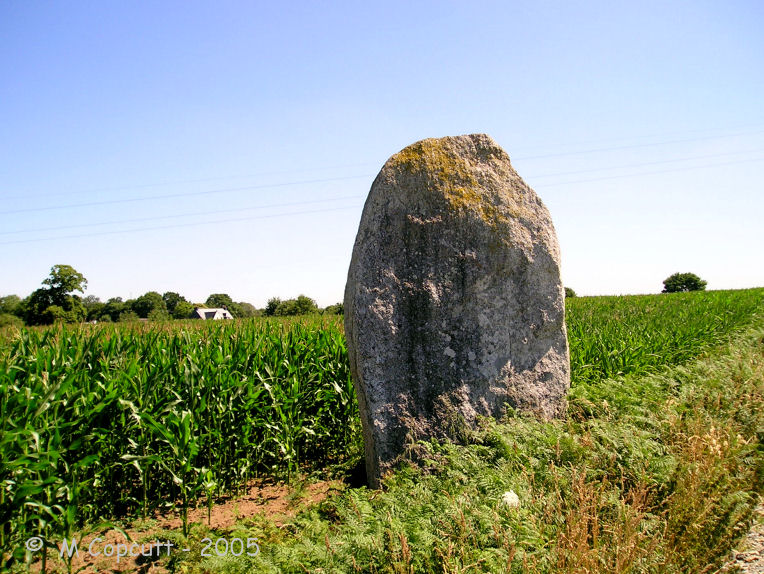 Lann Doaur menhir