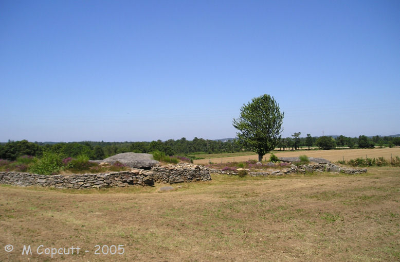 Larcuste Cairns
