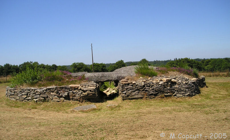 Larcuste cairns 2