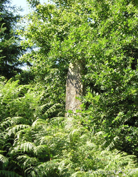 Menhir du Mené