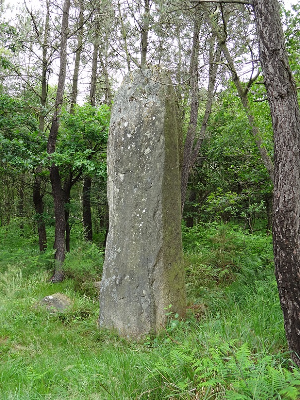 Click for the gallery page to add comments and vote (PID:179793) Pierre Longue (Molac)