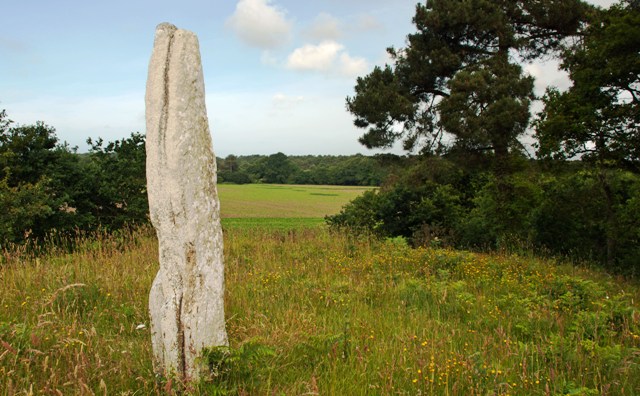 Click for the gallery page to add comments and vote (PID:91080) Menhir de Crucuny 1