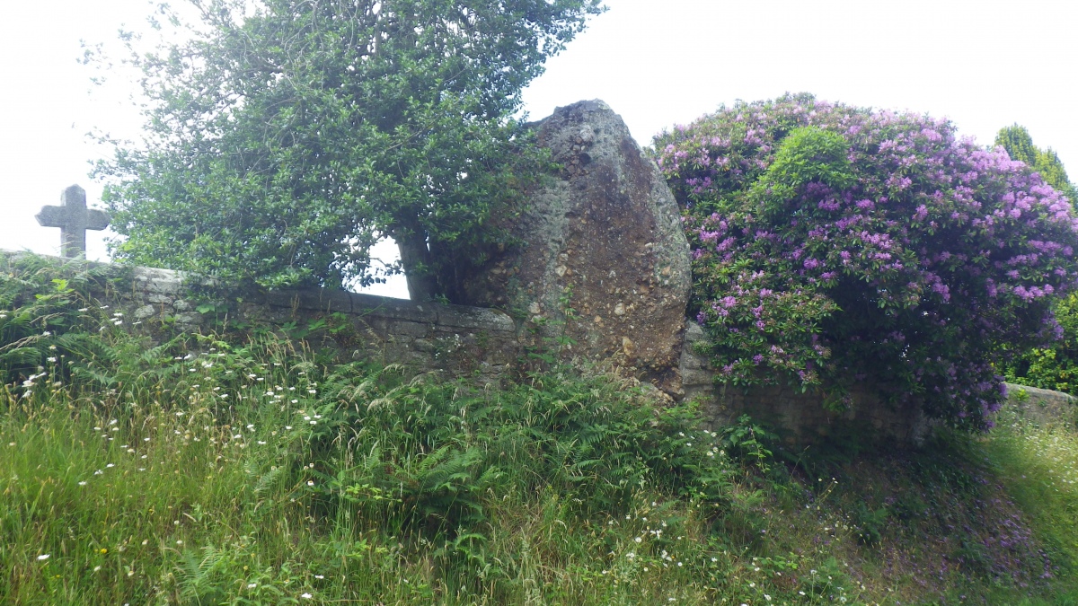 Click for the gallery page to add comments and vote (PID:280283) Menhir de la Chapelle de la Houssaie