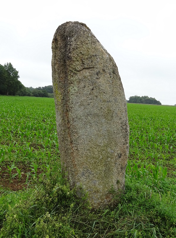 Click for the gallery page to add comments and vote (PID:179815) Menhir des Hautes-Landes