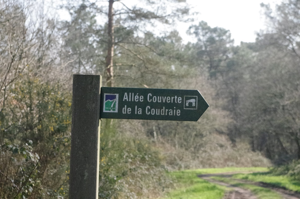 Click for the gallery page to add comments and vote (PID:146086) Allée couverte dite la Roche des Fées