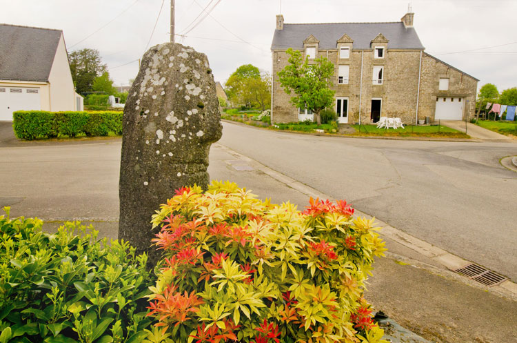 Click for the gallery page to add comments and vote (PID:107701) Pierre de Buléon