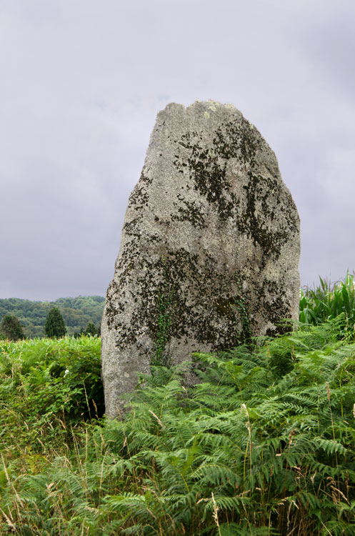 Click for the gallery page to add comments and vote (PID:123727) Menhir de Kerlivio