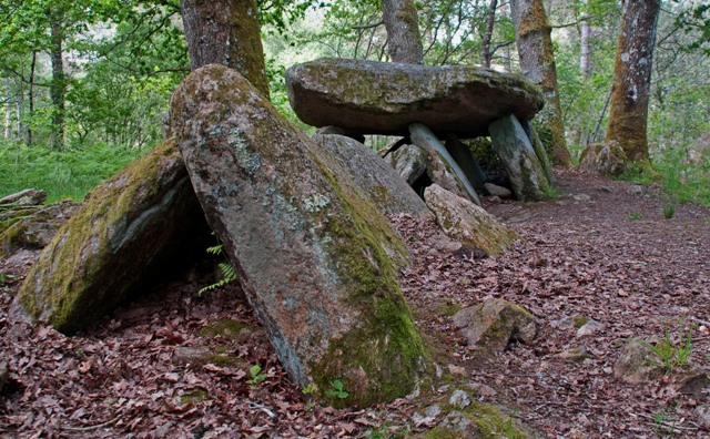 Click for the gallery page to add comments and vote (PID:104978) La Loge au Loup