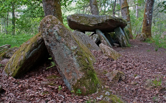 La Loge au Loup