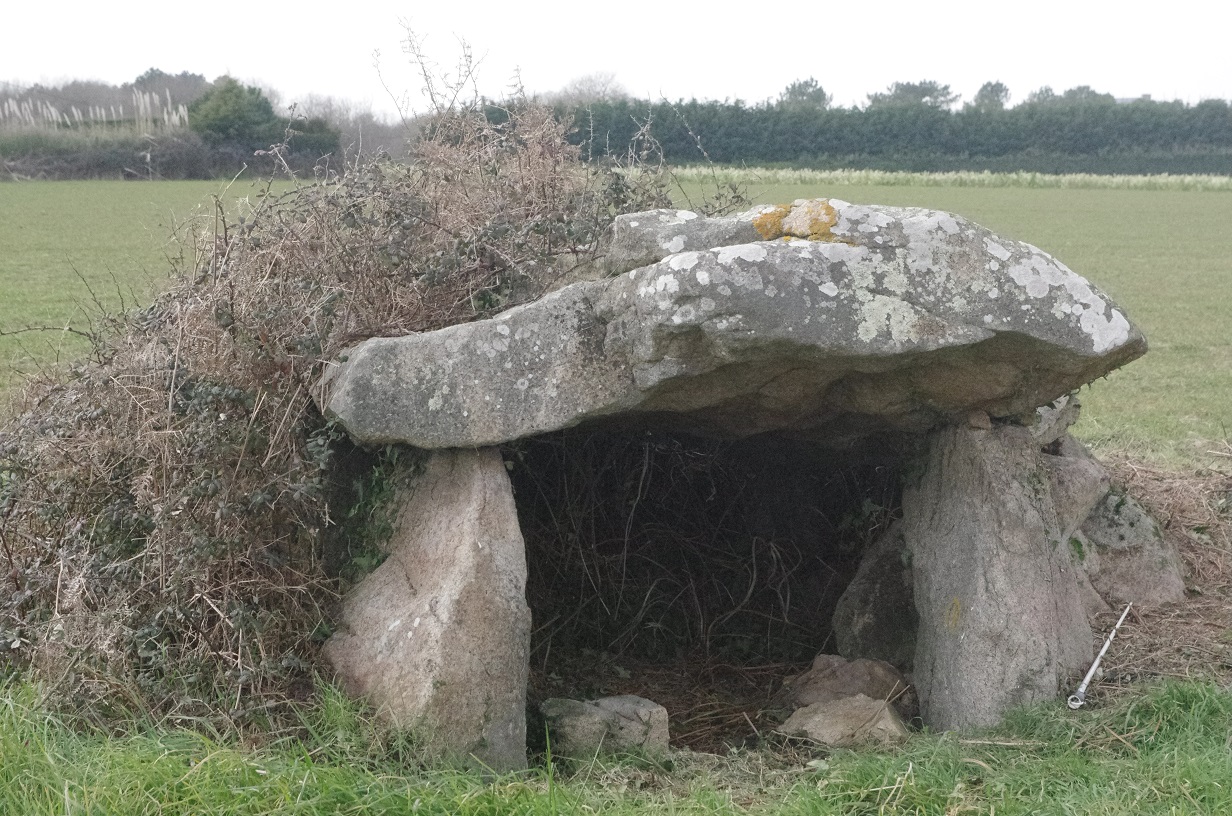 Click for the gallery page to add comments and vote (PID:146173) Dolmen de Kerangre