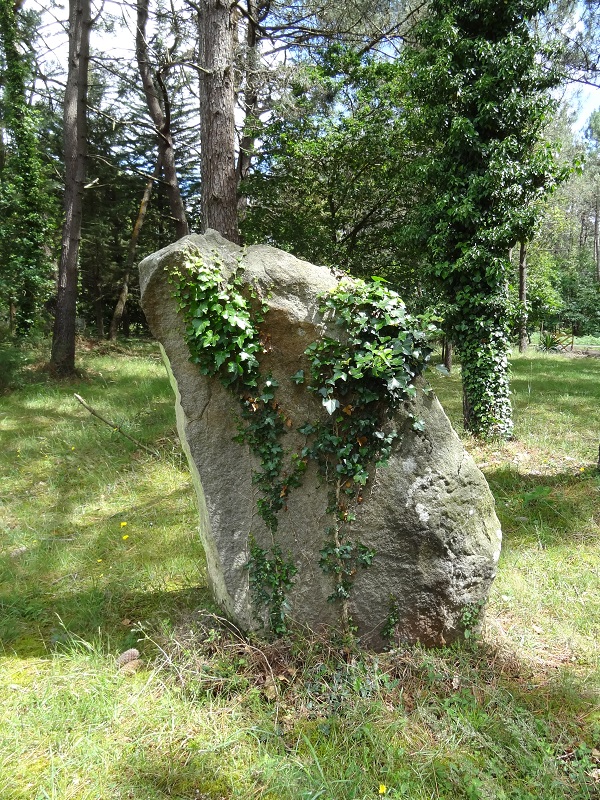 Click for the gallery page to add comments and vote (PID:189467) Menhir de Mériadec