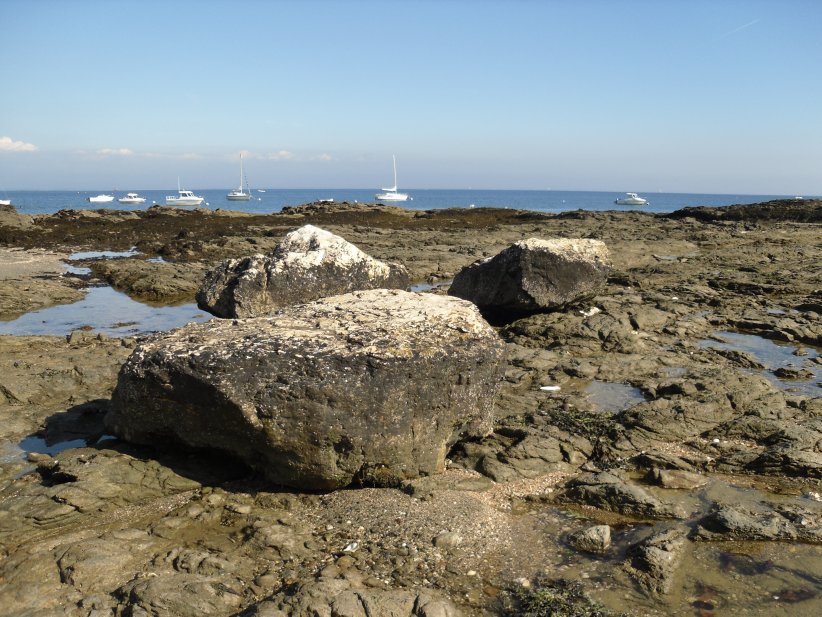 Menhirs les Trois Pierres Blanches