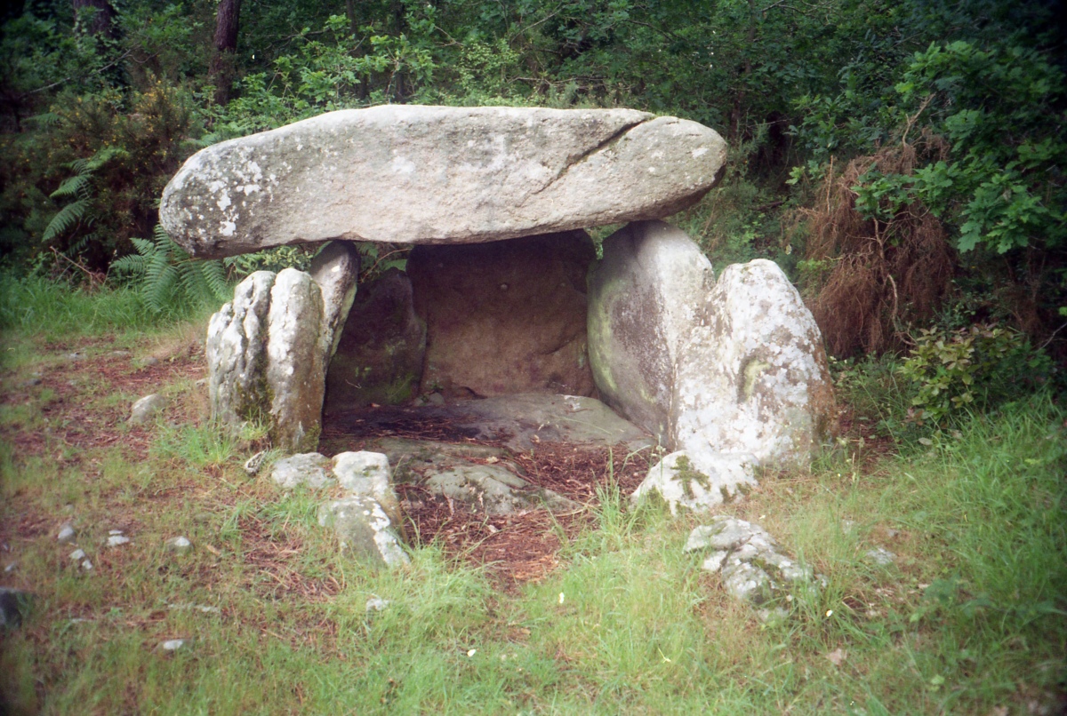 Click for full size image of Dolmen de Mané-Carnaplaye 1 (PID:205475) Dolmen de Mané-Carnaplaye 1