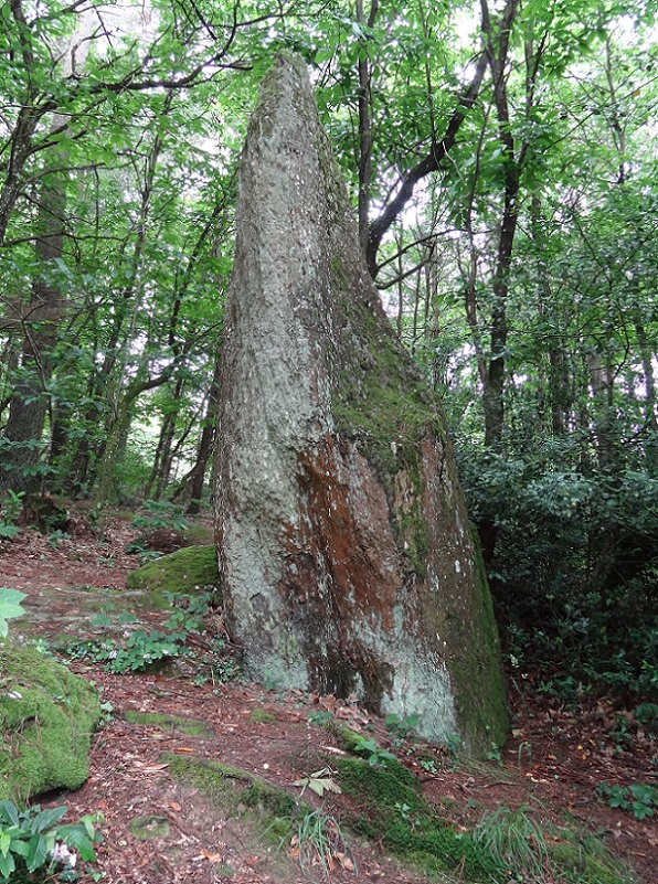 Click for the gallery page to add comments and vote (PID:179827) La Roche Piquée (La Gacilly)