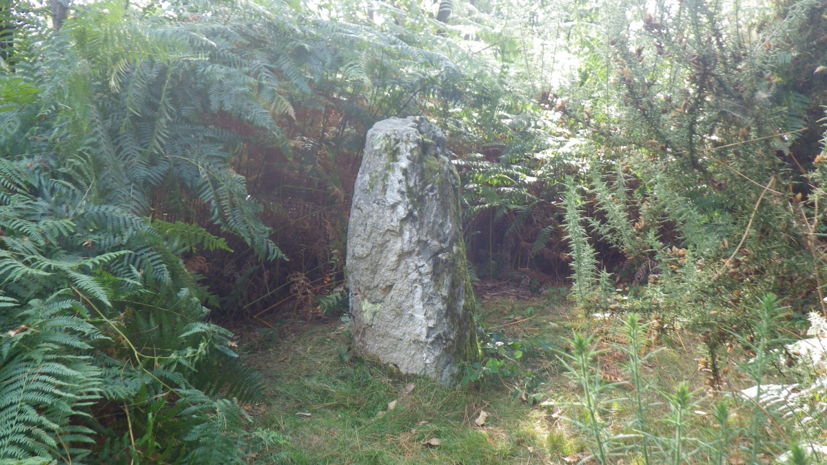 Click for the gallery page to add comments and vote (PID:288614) Menhir de Beaumont