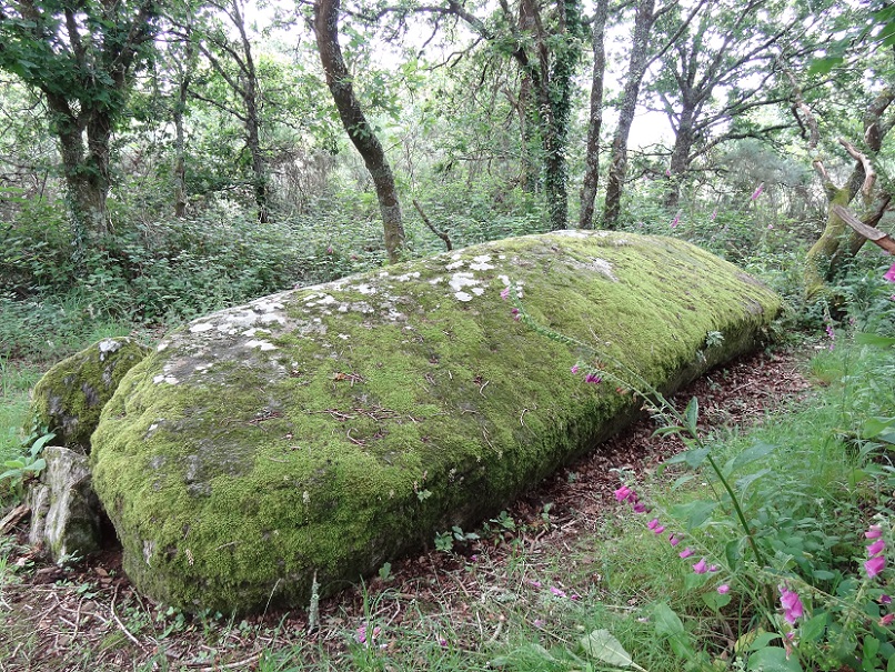 Click for the gallery page to add comments and vote (PID:180231) Menhir de Kerblay