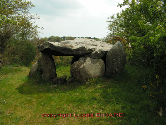 Click for the gallery page to add comments and vote (PID:21334) Kerdaniel dolmen