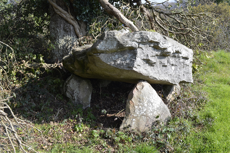 Dolmen du Coët-Courzo