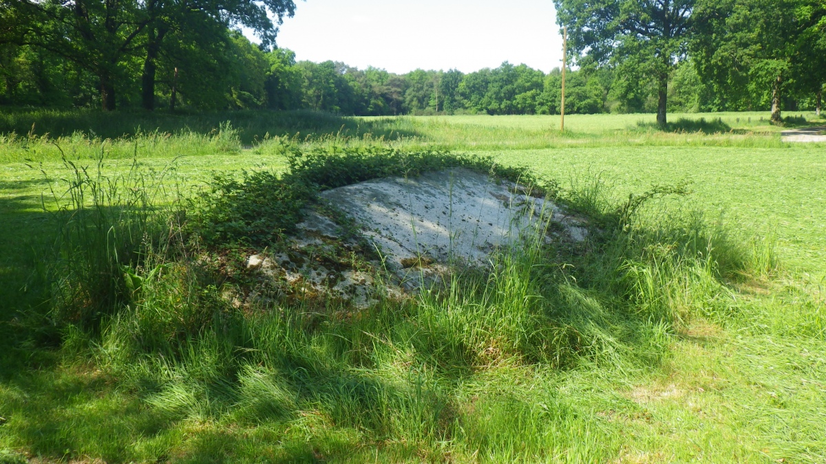 Menhir de Talvé 1