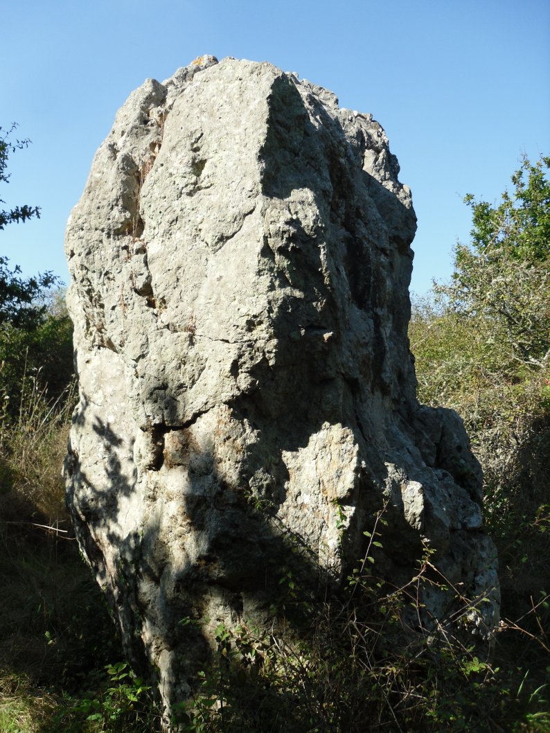 Click for the gallery page to add comments and vote (PID:127234) Cohporh menhir