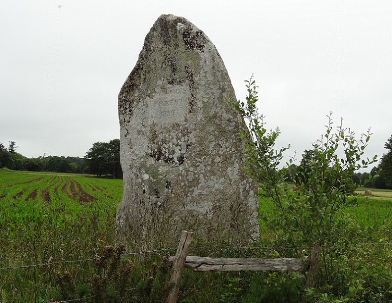 Click for the gallery page to add comments and vote (PID:179816) La Pierre Longue (Pluherlin)