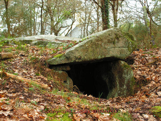 Mané-Brizil dolmen