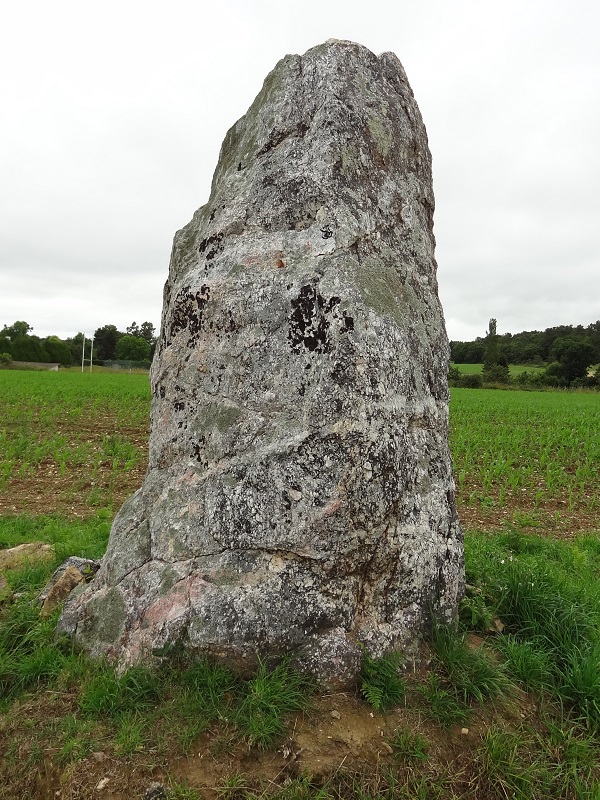 Click for the gallery page to add comments and vote (PID:179843) Menhir du Cimetière