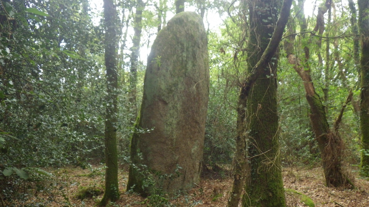 Click for the gallery page to add comments and vote (PID:275578) Menhir du Begué