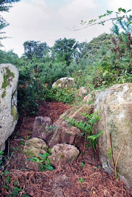 Saint Nizon allée couverte