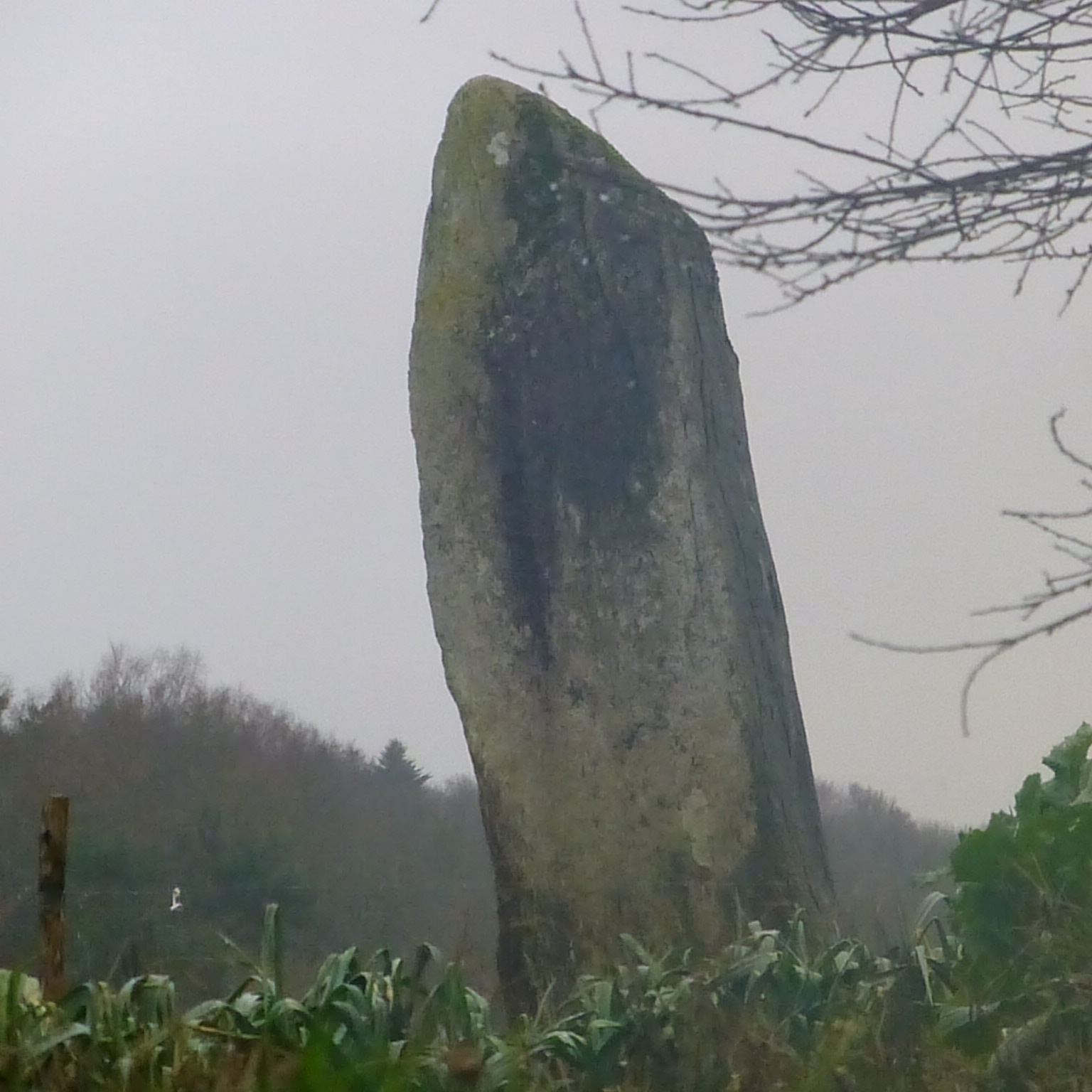 Menhir de Kerdanué