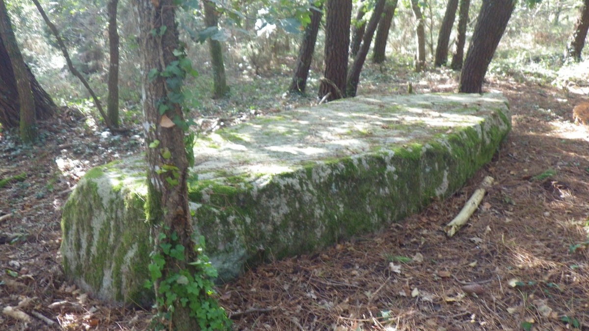 Click for the gallery page to add comments and vote (PID:280139) Menhir de Men Plat