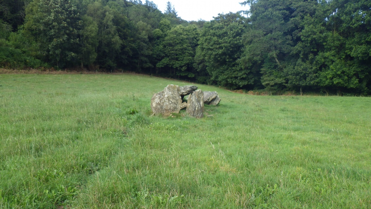 Allée Couverte dite Minguionnet