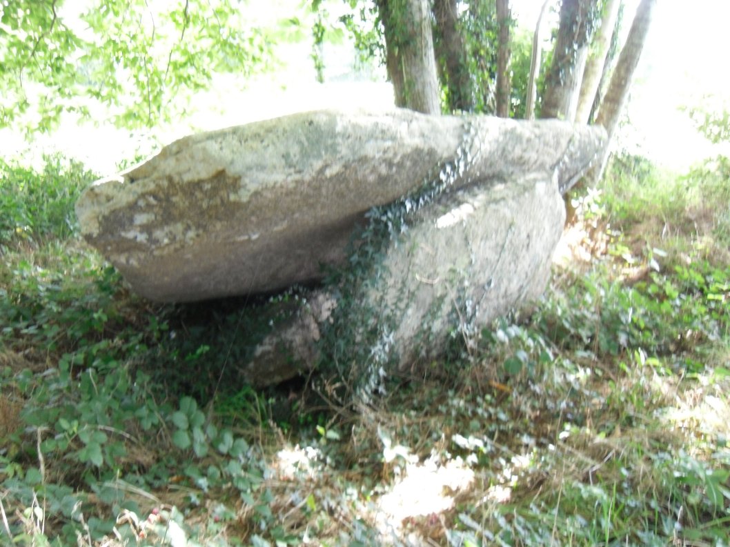 Allée couverte du Bignon