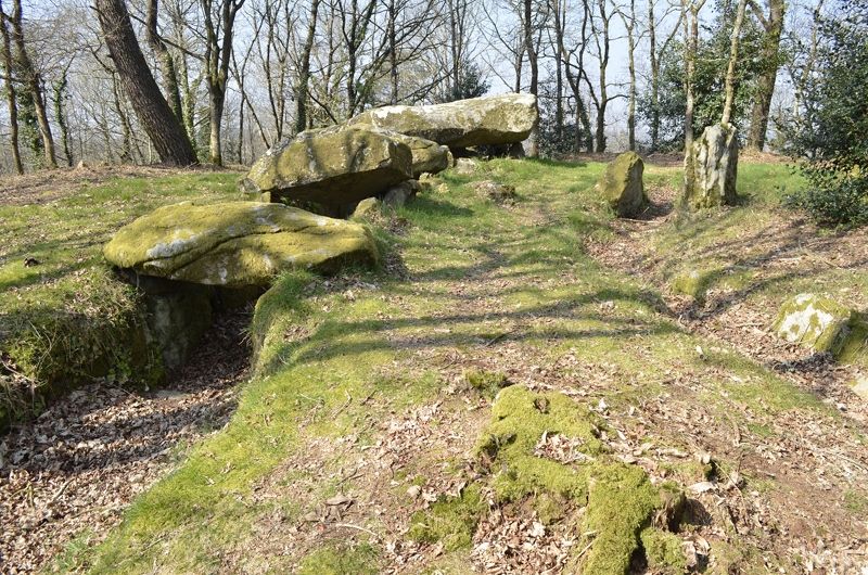 Allée Couverte de Cleher