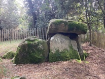 Click for full size image of Dolmen de Mané-Carnaplaye 1 (PID:264698) Dolmen de Mané-Carnaplaye 1