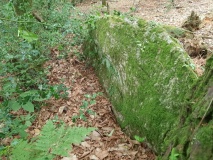 Dolmen de Mané Guillo