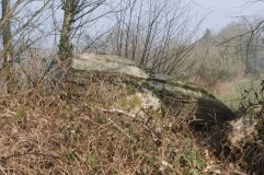 Allée Couverte de Botquenven - PID:146218