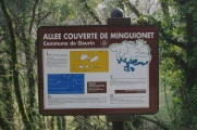 Allée Couverte dite Minguionnet